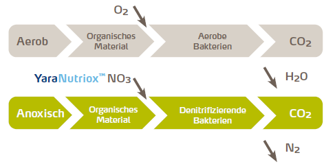 Abbildung Wirkung Nutriox 1.png