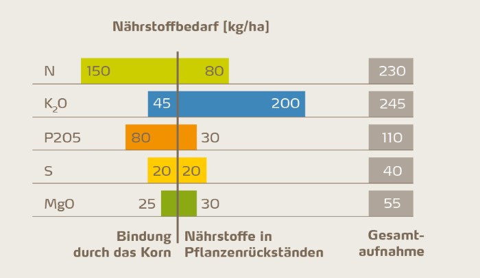 Abbildung 2: Aufnahme und Bindung der Hauptnährstoffe durch Raps bei einem Ertrag von 45 dt/ha. Die Gesamtaufnahme bezieht sich auf die komplette Vegetationsphase. Die Ausscheidung betrifft den vom Feld exportierten Ernteertrag. Die Nährstoffe in den Pflanzenrückständen werden dem Boden wieder zugeführt und bilden eine wesentlichen Bestandteil der Nährstoffversorgung des nachfolgenden Pflanzenbestands [2].