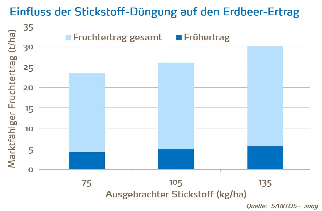 Einfluss der Stickstoff-Düngung auf den Erdbeer-Ertrag.JPG
