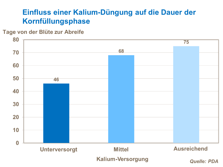 Einfluss einer Kalium-Düngung auf die Dauer der Kornfüllungsphase