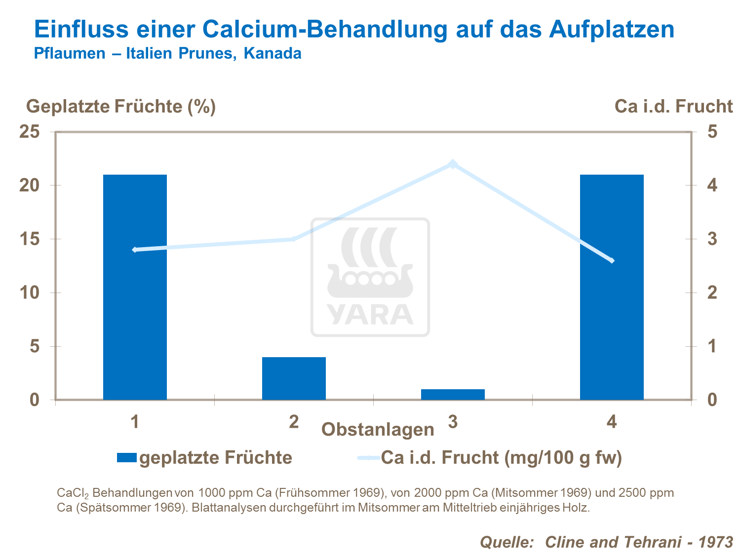Einfluss einer Calcium-Düngung auf das Aufplatzen (Pflaumen)