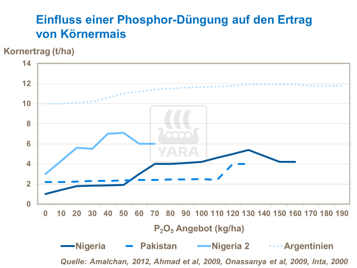 Einfluss einer Phosphor-Düngung auf den Ertrag von Körnermais