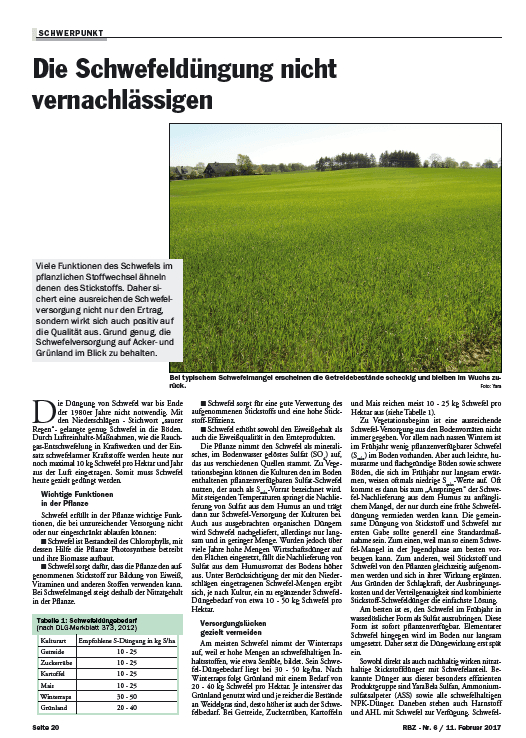 Die Schwefeldüngung nicht vernachlässigen